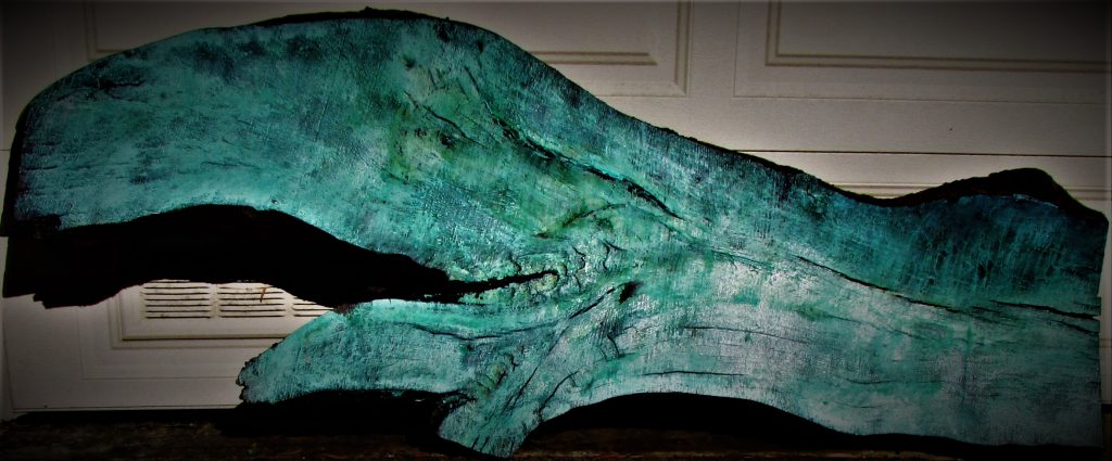 blue whale3